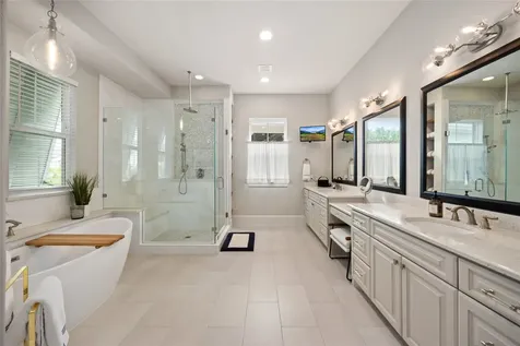 172 Mcgoey Circle The Woodlands TX 77384