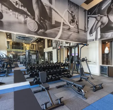 401 W 25th Street 1144 Houston TX 77008