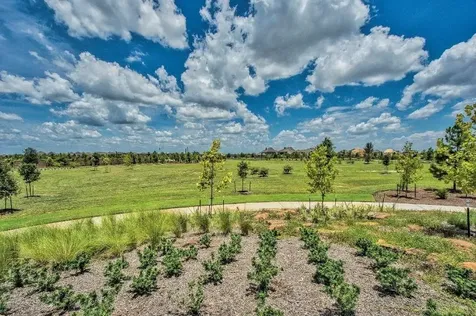 21211 Gulf Menhaden Lane Cypress TX 77433