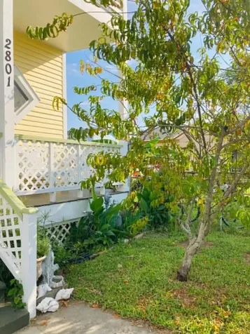 2801 Ave Q 1/2 Galveston TX 77550