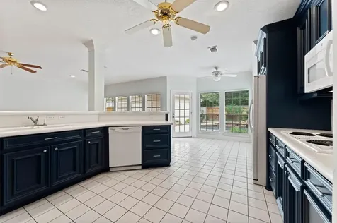 29 Berry Blossom Drive The Woodlands TX 77380