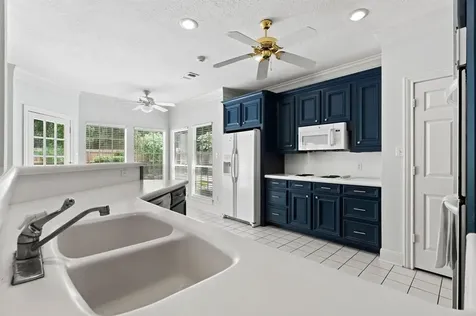 29 Berry Blossom Drive The Woodlands TX 77380