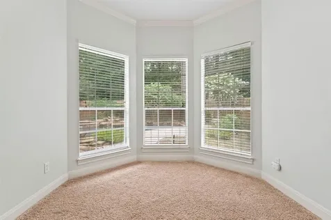 29 Berry Blossom Drive The Woodlands TX 77380