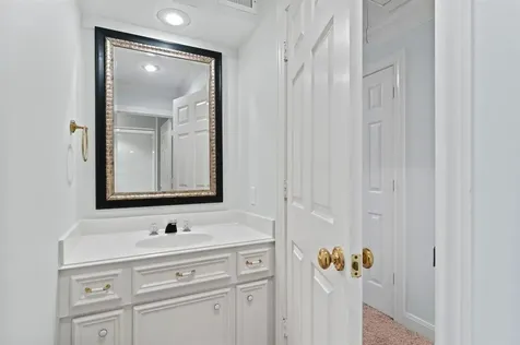 29 Berry Blossom Drive The Woodlands TX 77380