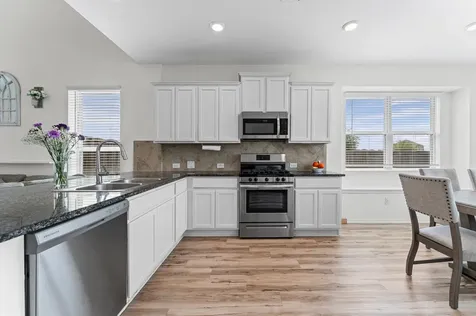 26003 Amber Pearl Drive Richmond TX 77406