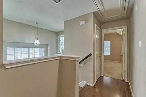 231 Blushwood Place The Woodlands TX 77382