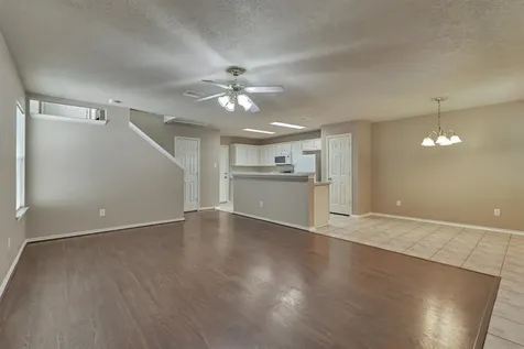 231 Blushwood Place The Woodlands TX 77382