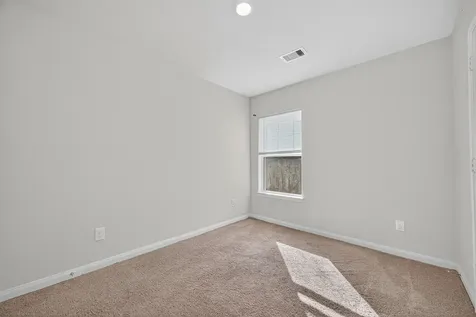 22514 Steel Blue Jaybird Drive Hockley TX 77447