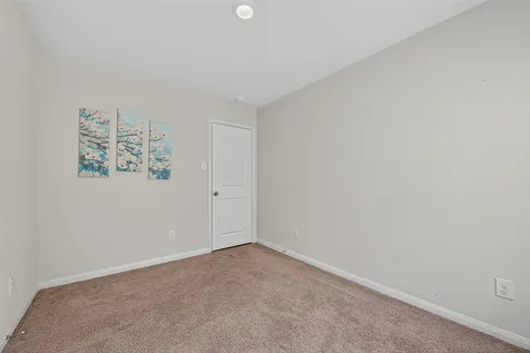 22514 Steel Blue Jaybird Drive Hockley TX 77447