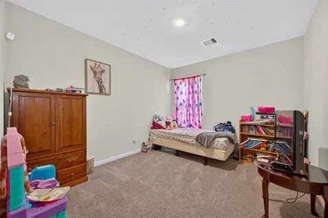 22514 Steel Blue Jaybird Drive Hockley TX 77447