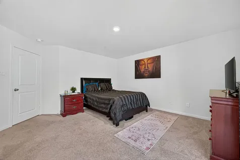 22514 Steel Blue Jaybird Drive Hockley TX 77447