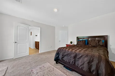22514 Steel Blue Jaybird Drive Hockley TX 77447
