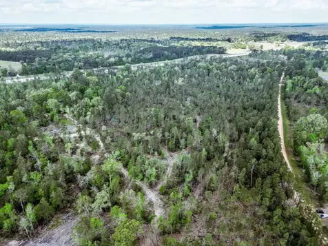 Tba Vick Spring Road New Waverly TX 77358