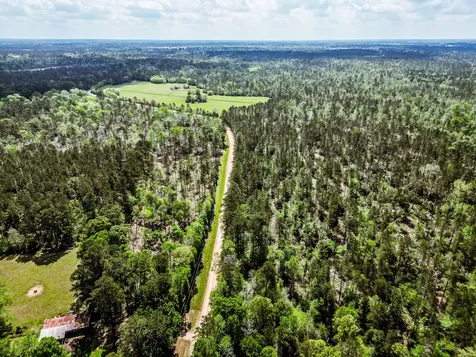 Tba Vick Spring Road New Waverly TX 77358