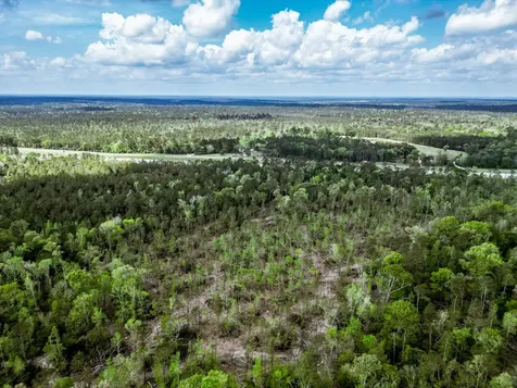 Tba Vick Spring Road New Waverly TX 77358