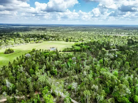 Tba Vick Spring Road New Waverly TX 77358