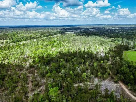Tba Vick Spring Road New Waverly TX 77358