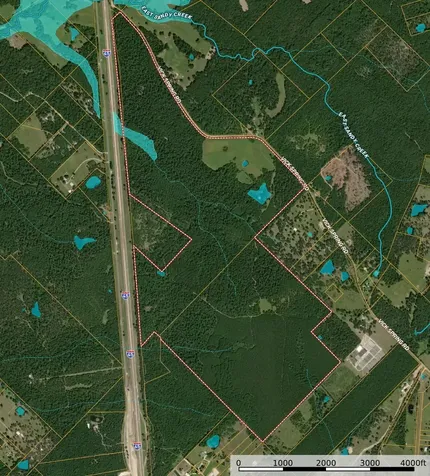 Tba Vick Spring Road New Waverly TX 77358