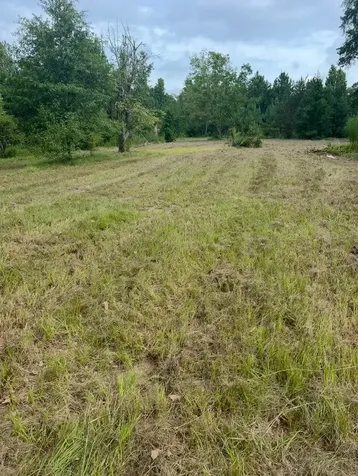 708 County Road 2307 Cleveland TX 77327