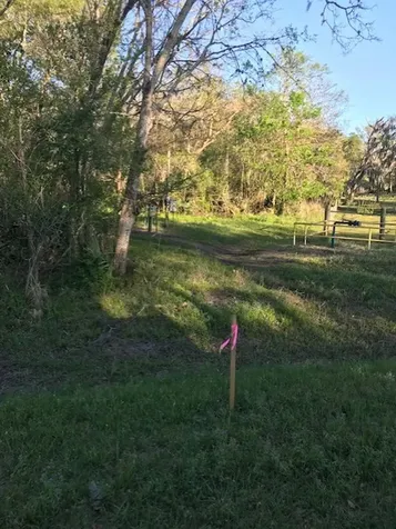 0 E Live Oak Road Van Vleck TX 77482