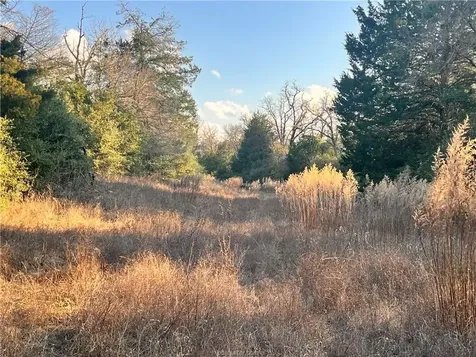 308.844 Acres Tbd Fm-1469 Marquez TX 77865
