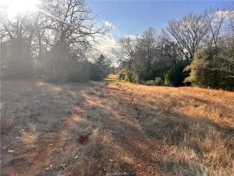 308.844 Acres Tbd Fm-1469 Marquez TX 77865