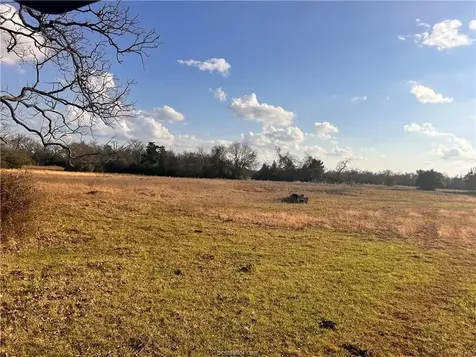 308.844 Acres Tbd Fm-1469 Marquez TX 77865