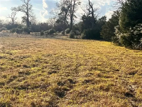 308.844 Acres Tbd Fm-1469 Marquez TX 77865