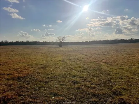308.844 Acres Tbd Fm-1469 Marquez TX 77865