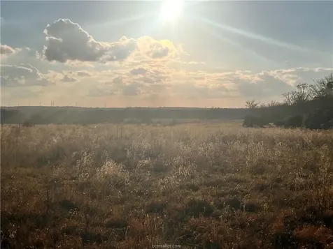 308.844 Acres Tbd Fm-1469 Marquez TX 77865