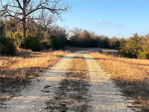 308.844 Acres Tbd Fm-1469 Marquez TX 77865