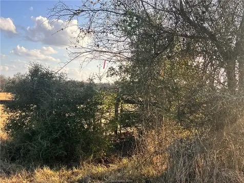 308.844 Acres Tbd Fm-1469 Marquez TX 77865