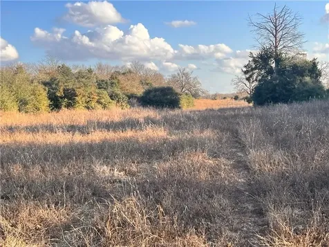 308.844 Acres Tbd Fm-1469 Marquez TX 77865