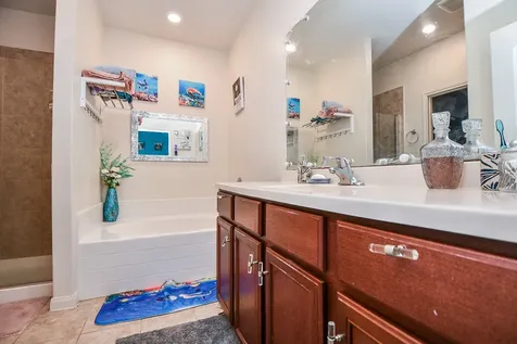 9803 Garnet Grove Drive Rosharon TX 77583