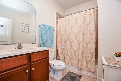 9803 Garnet Grove Drive Rosharon TX 77583