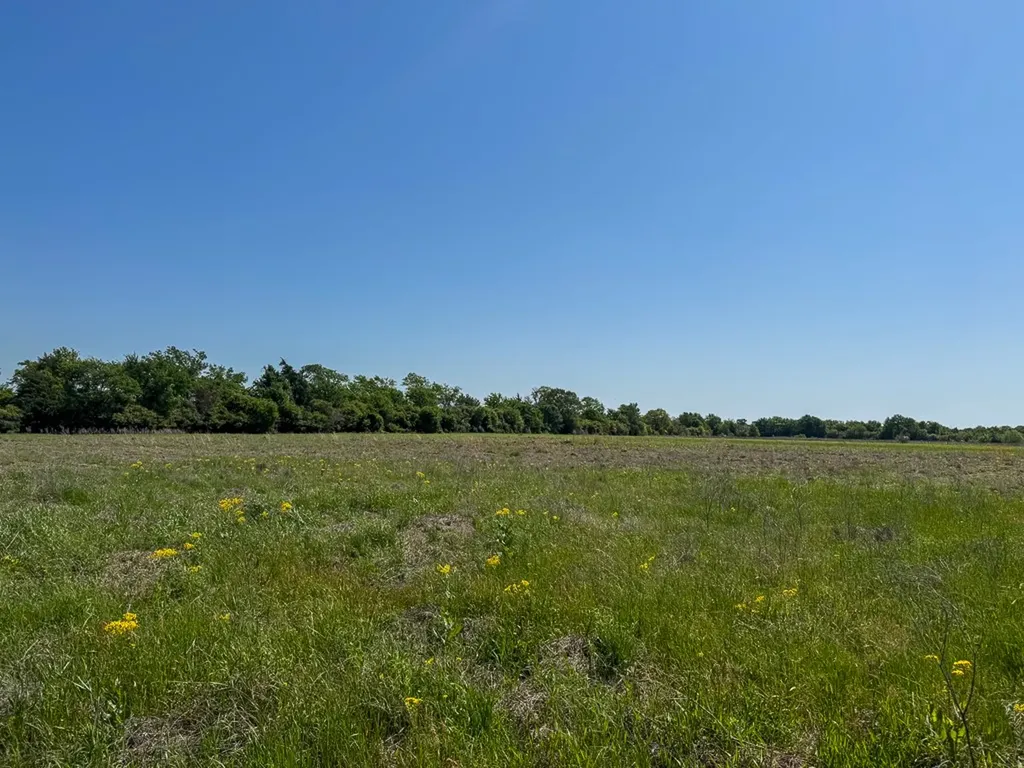 Tract # 2 County Road 123 Iola TX 77861
