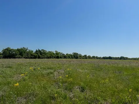 Tract # 2 County Road 123 Iola TX 77861