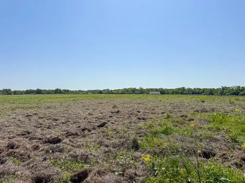 Tract # 2 County Road 123 Iola TX 77861