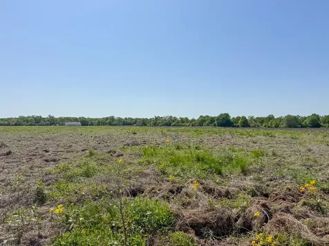 Tract # 2 County Road 123 Iola TX 77861