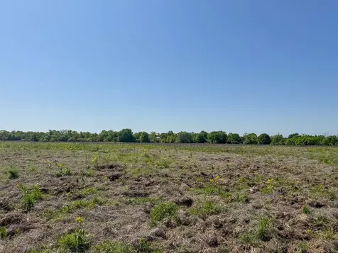 Tract # 2 County Road 123 Iola TX 77861