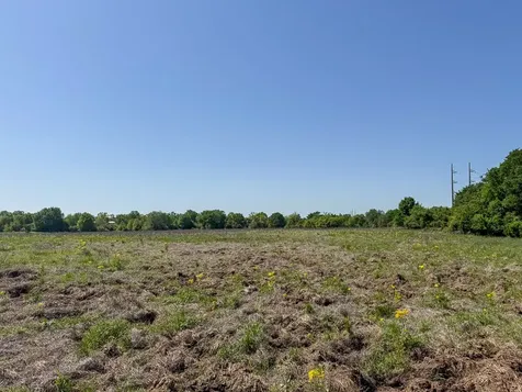 Tract # 2 County Road 123 Iola TX 77861
