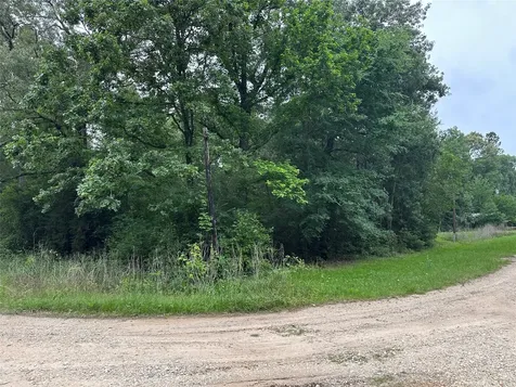 213 Neibel Drive Livingston TX 77351