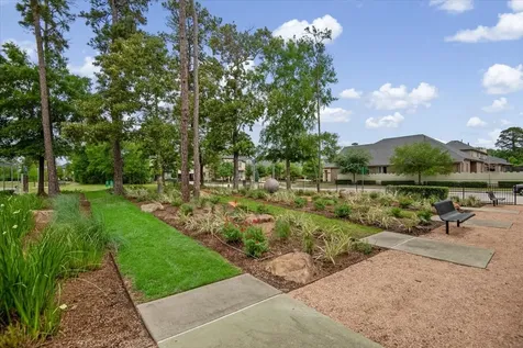 17814 Tree Of Heaven Conroe TX 77385