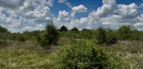 5815 Wild Flower Road Sealy TX 77474