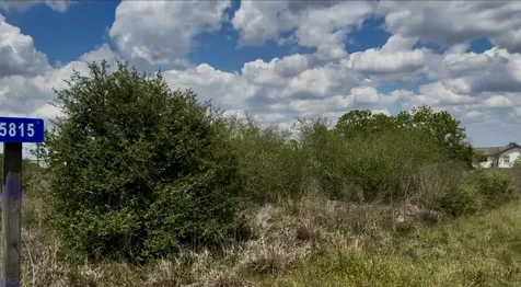 5815 Wild Flower Road Sealy TX 77474