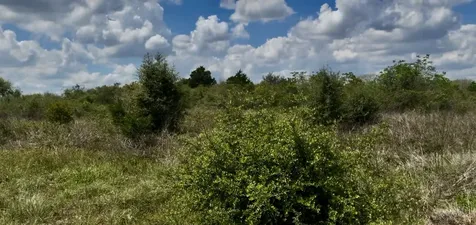 5815 Wild Flower Road Sealy TX 77474