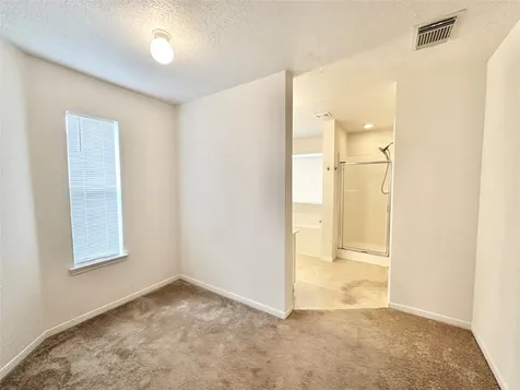 17002 Irish Oaks Court Houston TX 77083