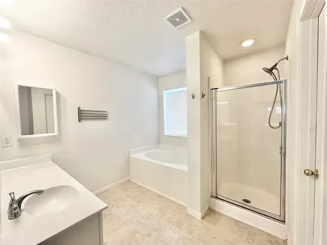 17002 Irish Oaks Court Houston TX 77083