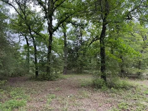 17952 County Road 224 Oakwood TX 75855