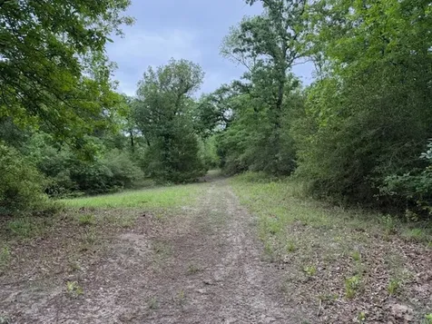 17952 County Road 224 Oakwood TX 75855
